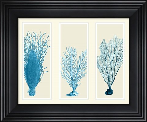 Framed Blue Corals on 3 Panels Print