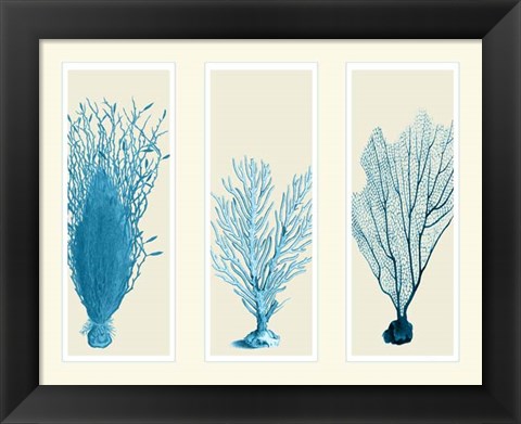 Framed Blue Corals on 3 Panels Print
