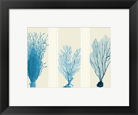 Framed Blue Corals on 3 Panels Print