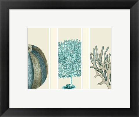 Framed Blue Corals and Sea Urchins in 3 Panels Print