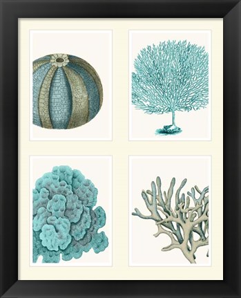 Framed Blue Corals and Sea Urchins in 4 Panels Print