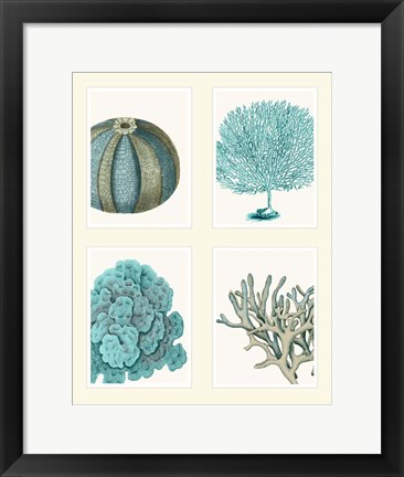 Framed Blue Corals and Sea Urchins in 4 Panels Print