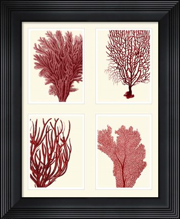 Framed Red Coral Print on 4 Panels Print