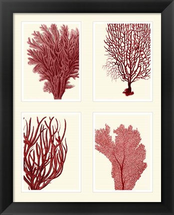 Framed Red Coral Print on 4 Panels Print