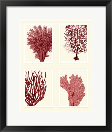 Framed Red Coral Print on 4 Panels Print