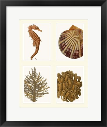 Framed Seahorse coral and shell on 4 Panels Print