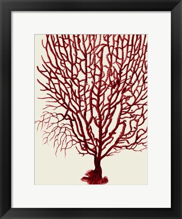 Framed Red Corals 2 b Print