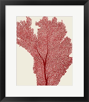 Framed Red Corals 2 e Print