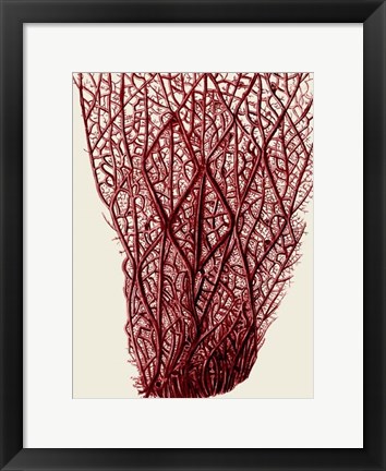 Framed Red Corals 2 f Print