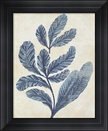 Framed Indigo Blue Seaweed 2 a Print