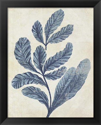 Framed Indigo Blue Seaweed 2 a Print