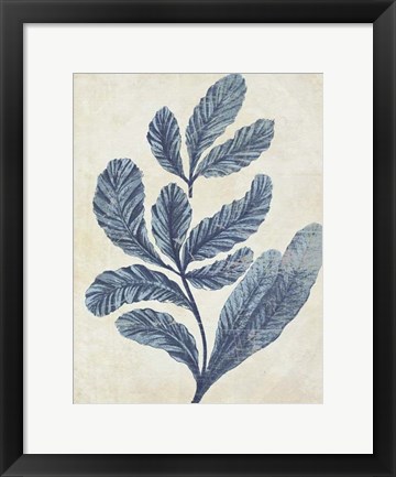 Framed Indigo Blue Seaweed 2 a Print