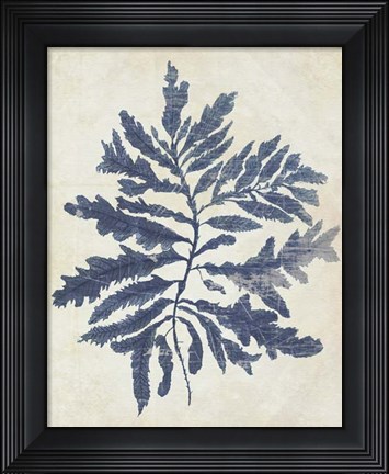 Framed Indigo Blue Seaweed 2 b Print