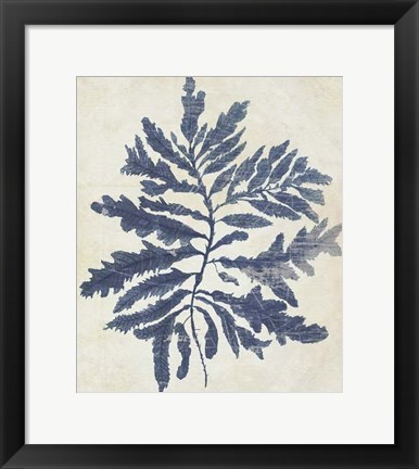 Framed Indigo Blue Seaweed 2 b Print