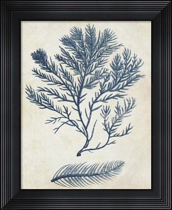 Framed Indigo Blue Seaweed 2 c Print