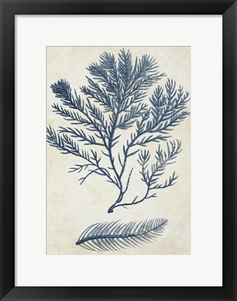 Framed Indigo Blue Seaweed 2 c Print