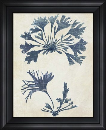 Framed Indigo Blue Seaweed 2 d Print
