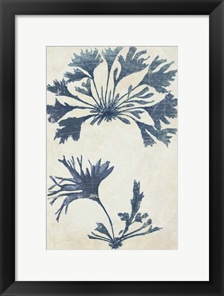 Framed Indigo Blue Seaweed 2 d Print