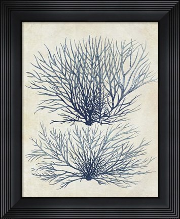 Framed Indigo Blue Seaweed 1 a Print