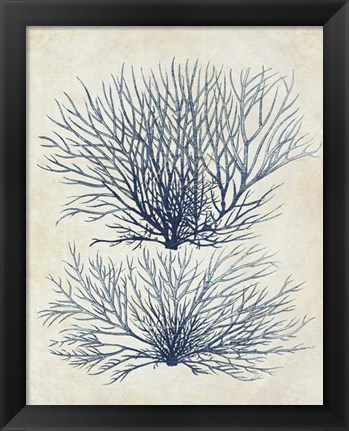 Framed Indigo Blue Seaweed 1 a Print