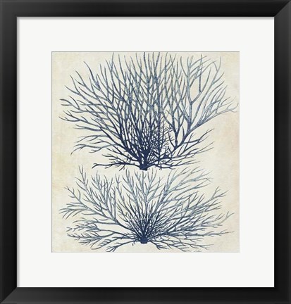 Framed Indigo Blue Seaweed 1 a Print
