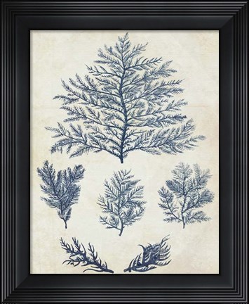 Framed Indigo Blue Seaweed 1 c Print
