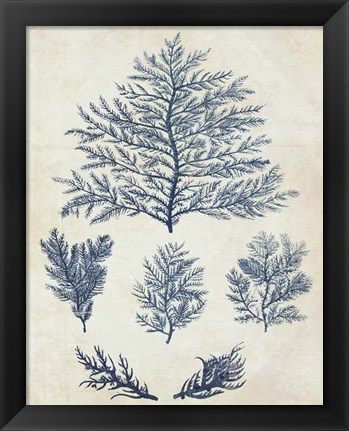 Framed Indigo Blue Seaweed 1 c Print