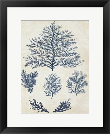 Framed Indigo Blue Seaweed 1 c Print
