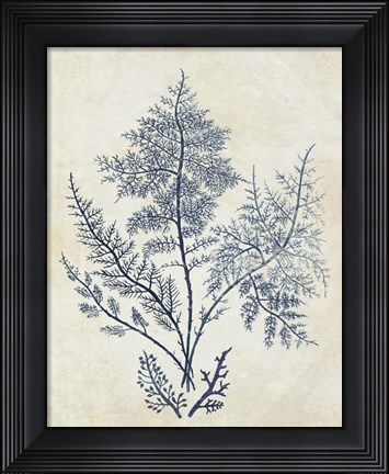 Framed Indigo Blue Seaweed 1 d Print