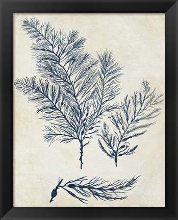 Framed Indigo Blue Seaweed 3 a Print