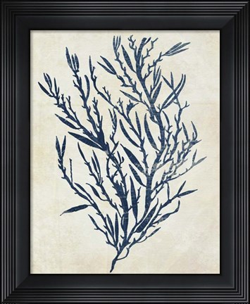 Framed Indigo Blue Seaweed 3 b Print