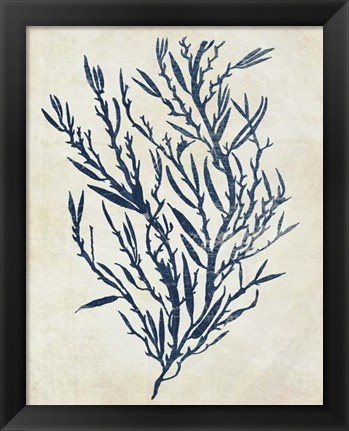 Framed Indigo Blue Seaweed 3 b Print