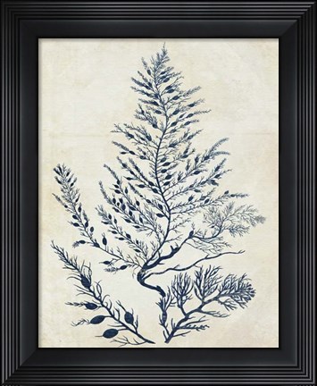 Framed Indigo Blue Seaweed 3 d Print
