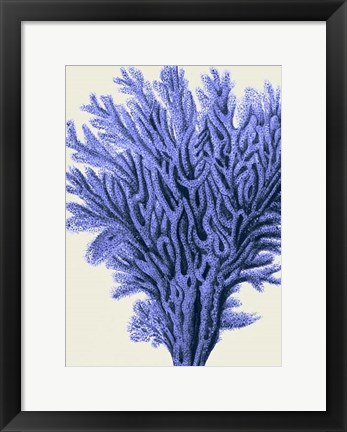Framed Blue Corals 2 a Print