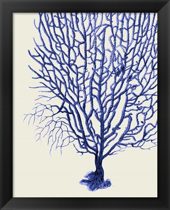 Framed Blue Corals 2 b Print