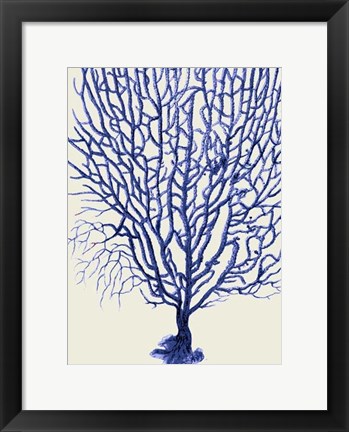 Framed Blue Corals 2 b Print