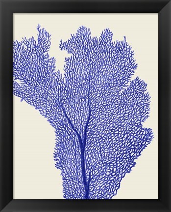 Framed Blue Corals 2 e Print