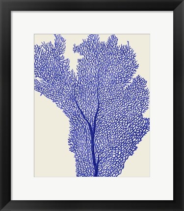 Framed Blue Corals 2 e Print