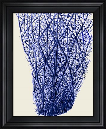 Framed Blue Corals 2 f Print