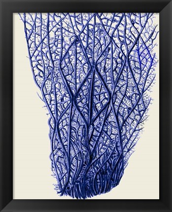 Framed Blue Corals 2 f Print