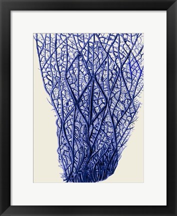 Framed Blue Corals 2 f Print