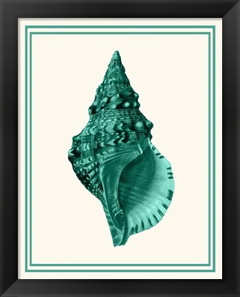 Framed Mixed Nautical Green on Cream a Print