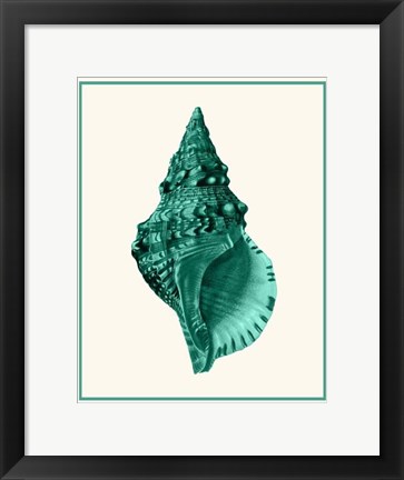 Framed Mixed Nautical Green on Cream a Print