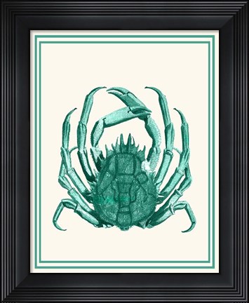 Framed Mixed Nautical Green on Cream b Print