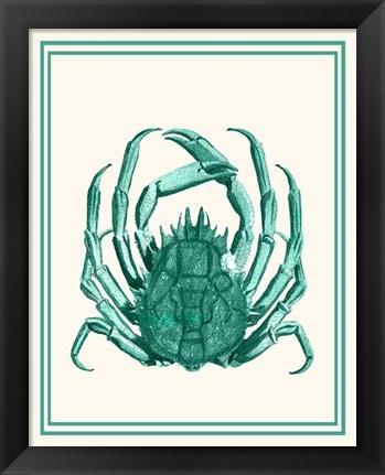 Framed Mixed Nautical Green on Cream b Print