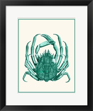 Framed Mixed Nautical Green on Cream b Print