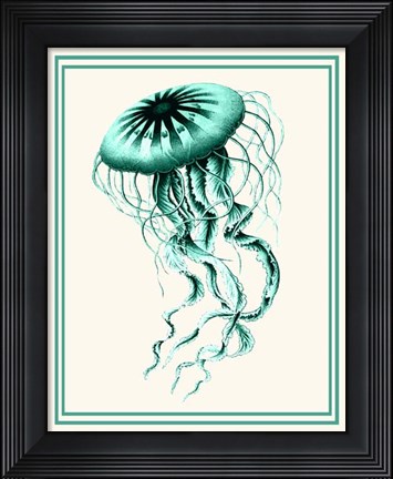 Framed Mixed Nautical Green on Cream c Print