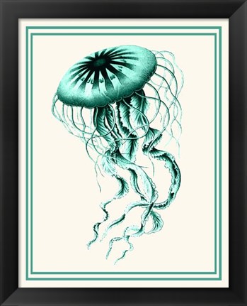 Framed Mixed Nautical Green on Cream c Print