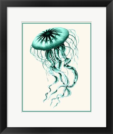 Framed Mixed Nautical Green on Cream c Print