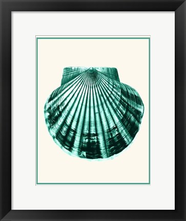 Framed Mixed Nautical Green on Cream d Print